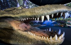 <b><font color='#333333'>史前最大型鳄类动物：普鲁斯鳄秒杀霸王龙（长12米、重8.4吨）</font></b>